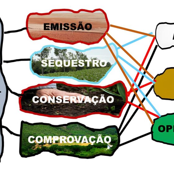 O Futuro da Agricultura Sustentável: Como o Modelo IAC Está Transformando a Gestão do Carbono nas Propriedades Rurais 2 O Futuro da Agricultura Sustent vel Como o Modelo IAC Est Transformando a Gest o do Carbono nas Propriedades Rurais