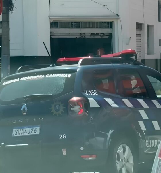 O Mistério do Açougueiro Desaparecido: Uma História de Angústia e Busca por Respostas em Campinas 2 O Mist rio do A ougueiro Desaparecido Uma Hist ria de Ang stia e Busca por Respostas em Campinas