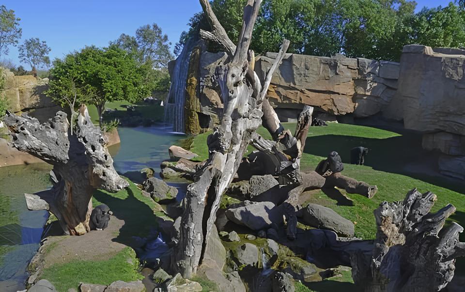 O Renascimento do Zoo Bosque de Pedreira: Uma Jornada de Memórias, Educação e Natureza 1 O Renascimento do Zoo Bosque de Pedreira Uma Jornada de Mem rias Educa o e Natureza