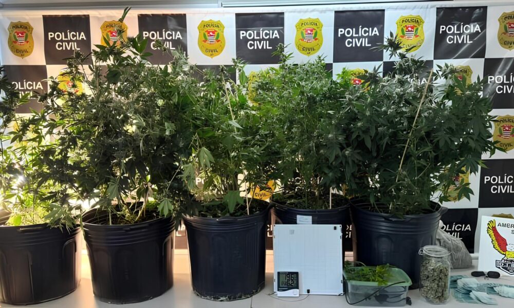 Opera o Velhote O Caso do Jardim Boer que Escancarou o Submundo do Tr fico de Drogas em Americana