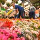 Primavera 2025 em Campinas Como a Esta o do Renascimento Est Transformando o Mercado de Flores da Ceasa