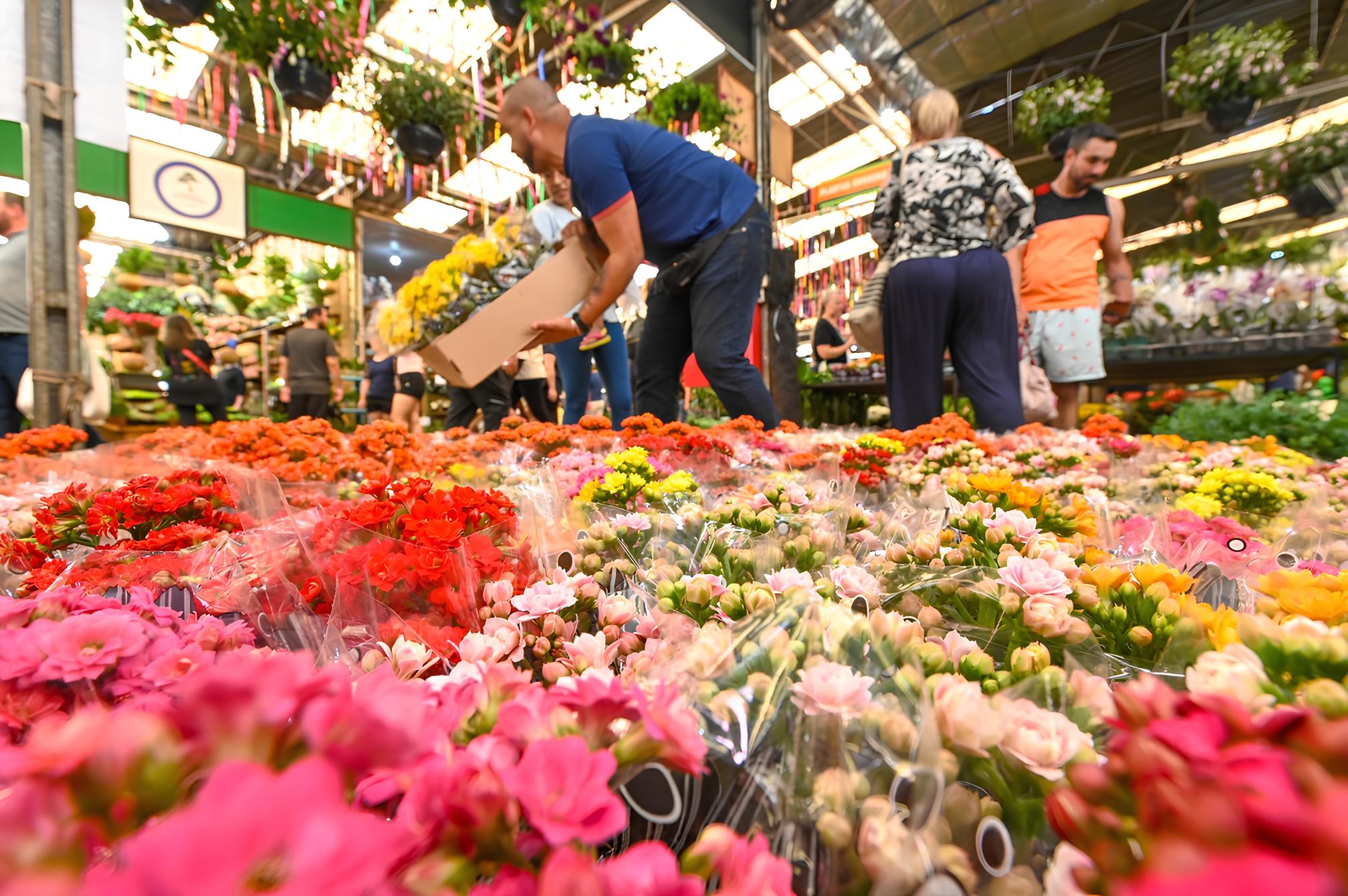 Primavera 2025 em Campinas Como a Esta o do Renascimento Est Transformando o Mercado de Flores da Ceasa