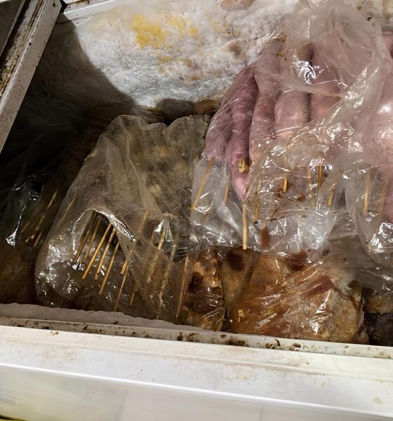 Quando a Fiscaliza o Encontra o Inesperado O Caso das 280 kg de Carnes Irregulares em Campinas