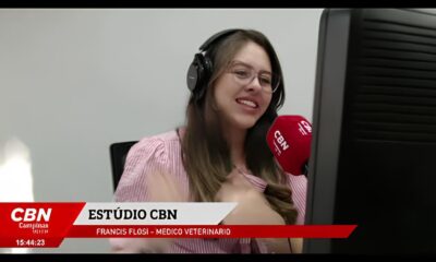 Quando o Calor Aperta Como Proteger Seus Pets do Clima Extremo e Por Que Isso Pode Salvar Vidas