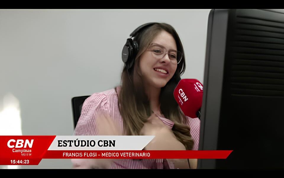 Quando o Calor Aperta Como Proteger Seus Pets do Clima Extremo e Por Que Isso Pode Salvar Vidas