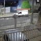 Quando um Roj o se Torna Mais do Que um Barulho O Caso Curioso de Campinas que Virou Manchete Nacional