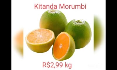 Sacol metro da Ceasa O Que Est Por Tr s dos Pre os das Frutas e Verduras em 2025