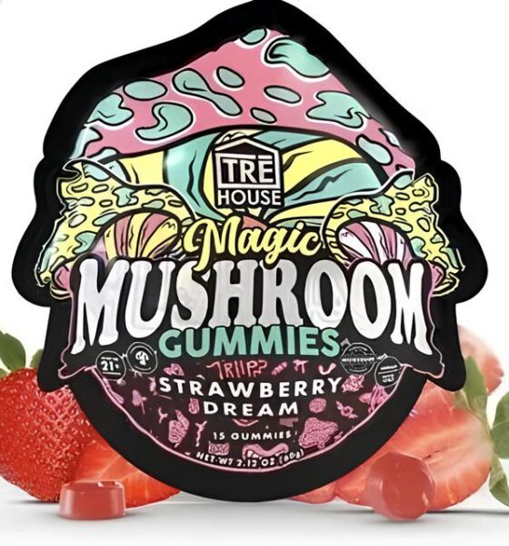 Tr s Novas Subst ncias Psicoativas no Brasil O Que Voc Precisa Saber Sobre Este Alerta In dito