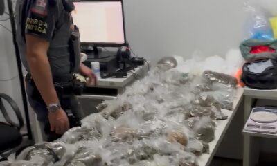 Uma Persegui o Eletrizante em Jundia Como 18 Kg de Drogas e um Fox Velho Exemplificam a Guerra Contra o Tr fico