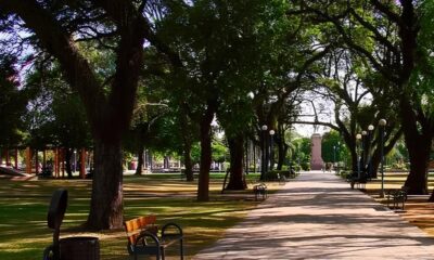 A Galinha Pintadinha Tem Endere o em Campinas Como uma Est tua no Taquaral Revela o Poder Cultural de um cone Infantil Brasileiro