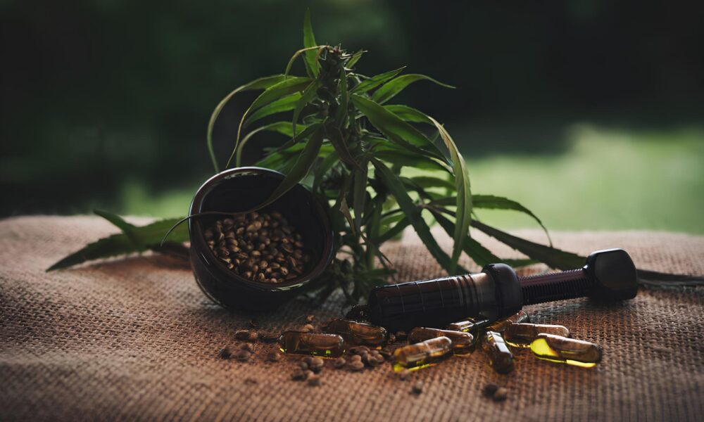 A Revolu o Silenciosa da Maconha Medicinal Como a Unicamp Est Formando a Nova Gera o de Profissionais da Sa de no Brasil