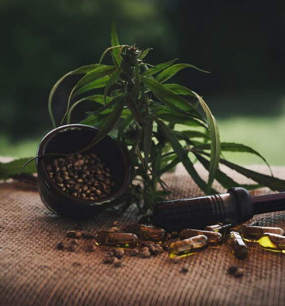 A Revolução Silenciosa da Maconha Medicinal: Como a Unicamp Está Formando a Nova Geração de Profissionais da Saúde no Brasil 2 A Revolu o Silenciosa da Maconha Medicinal Como a Unicamp Est Formando a Nova Gera o de Profissionais da Sa de no Brasil