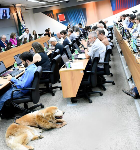 A Unicamp Toma um Rumo Hist rico Rompimento com Instituto Israelense Ecoa como Um Grito por Justi a em Gaza