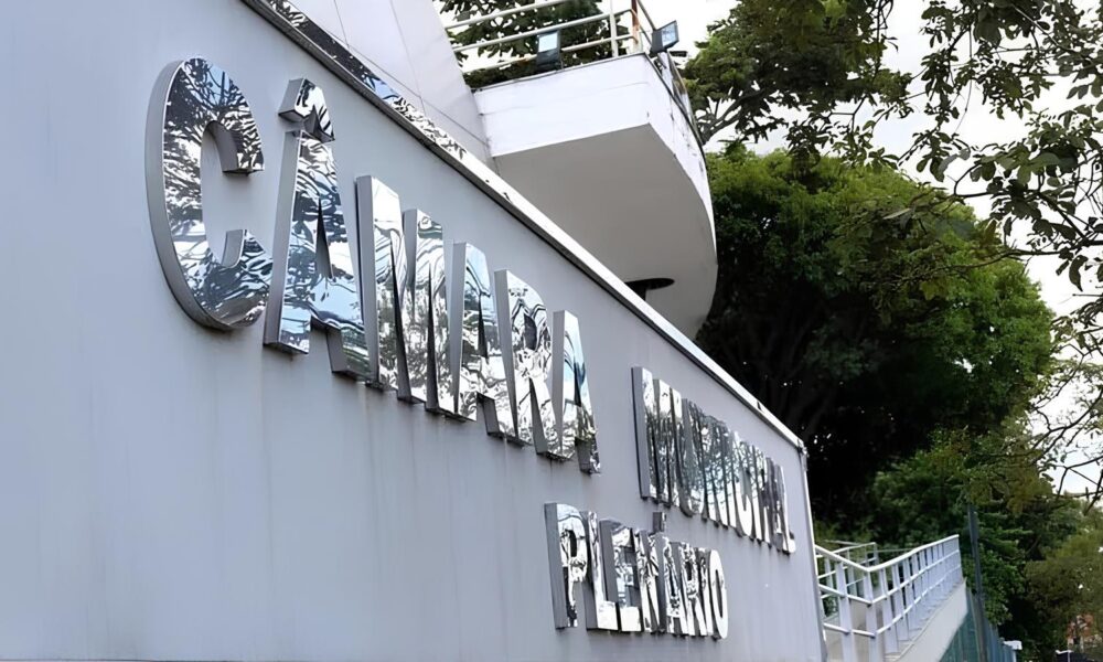 Licen a para a Justi a Como uma Vereadora de Campinas Paralisou um Processo Disciplinar com um Passaporte Humanit rio