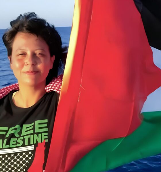 Licen a para o Fogo Cruzado A Batalha Jur dica e Pol tica que Pode Definir o Futuro de Mariana Conti em Campinas