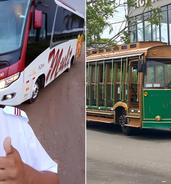 O Dia em Que o Bondinho Virou Armadilha: A Tragédia Silenciosa de um Herói Anônimo em Holambra 2 O Dia em Que o Bondinho Virou Armadilha A Trag dia Silenciosa de um Her i An nimo em Holambra