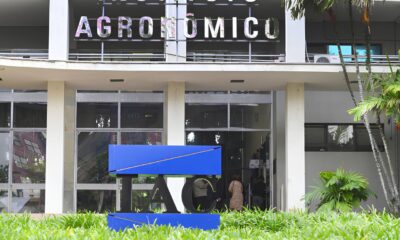 O Segredo Enterrado Sob os P s de Campinas Por Que Milhares Est o Correndo para Visitar um Instituto Agr cola Antes que as Vagas Acabem