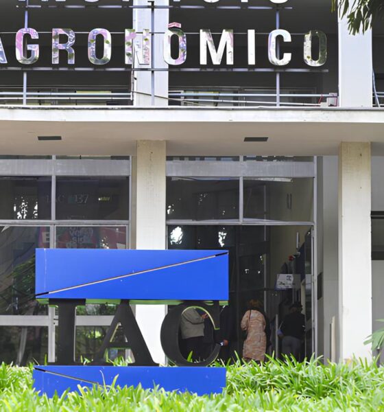 O Segredo Enterrado Sob os P s de Campinas Por Que Milhares Est o Correndo para Visitar um Instituto Agr cola Antes que as Vagas Acabem
