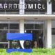 O Segredo Enterrado Sob os P s de Campinas Por Que Milhares Est o Correndo para Visitar um Instituto Agr cola Antes que as Vagas Acabem