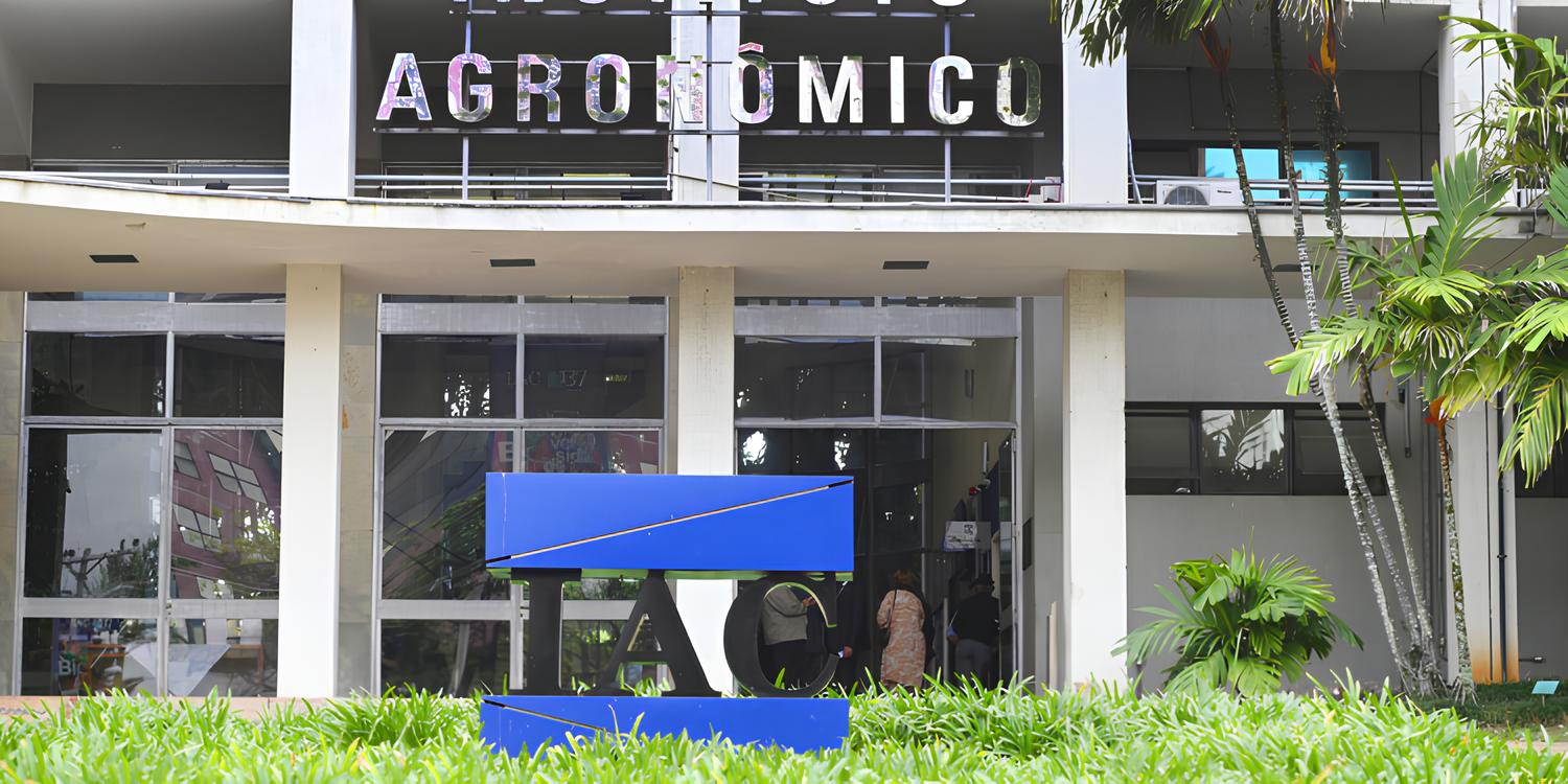 O Segredo Enterrado Sob os P s de Campinas Por Que Milhares Est o Correndo para Visitar um Instituto Agr cola Antes que as Vagas Acabem