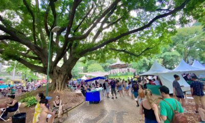 O Segredo Guardado nas Cordas da Viola Como um Festival em Campinas Est Revivendo a Alma do Brasil Caipira