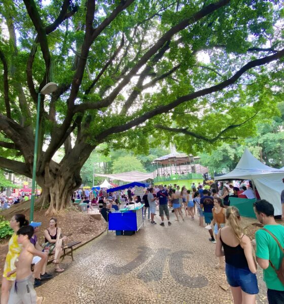 O Segredo Guardado nas Cordas da Viola: Como um Festival em Campinas Está Revivendo a Alma do Brasil Caipira 2 O Segredo Guardado nas Cordas da Viola Como um Festival em Campinas Est Revivendo a Alma do Brasil Caipira
