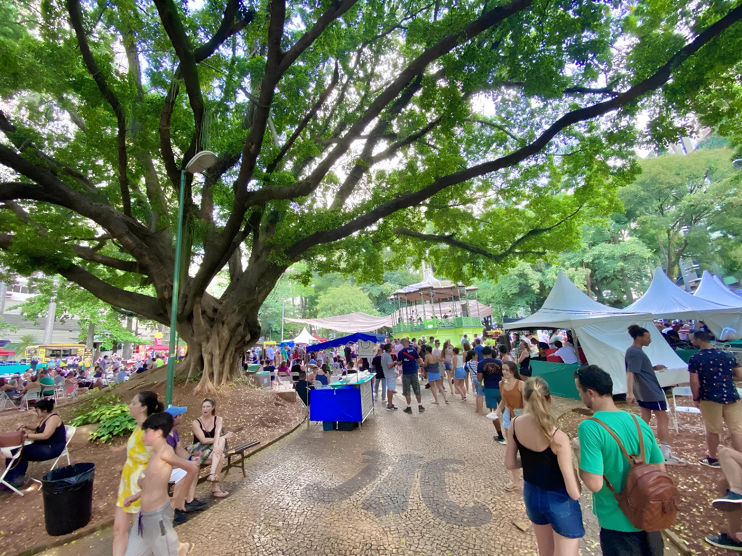 O Segredo Guardado nas Cordas da Viola: Como um Festival em Campinas Está Revivendo a Alma do Brasil Caipira 1 O Segredo Guardado nas Cordas da Viola Como um Festival em Campinas Est Revivendo a Alma do Brasil Caipira