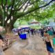 O Som da Terra Como um Festival em Campinas Est Revivendo a Alma Caipira do Brasil