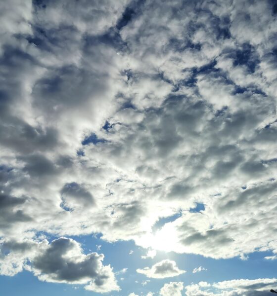 Por Que o Céu de Campinas Está Se Tornando um Espelho da Mudança Climática Global? 2 Por Que o C u de Campinas Est Se Tornando um Espelho da Mudan a Clim tica Global