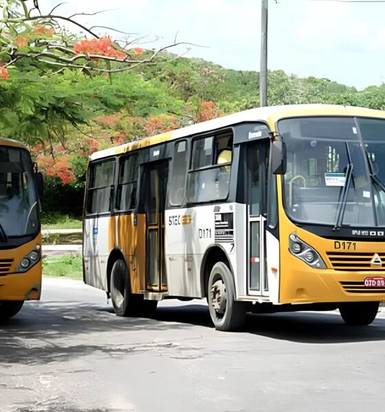Salvador Ganha Novas Linhas de Ônibus — Mas Será Que Isso Resolve o Caos do Trânsito ou Apenas Pinta de Verde um Sistema à Beira do Colapso? 2 Salvador Ganha Novas Linhas de nibus Mas Ser Que Isso Resolve o Caos do Tr nsito ou Apenas Pinta de Verde um Sistema Beira do Colapso