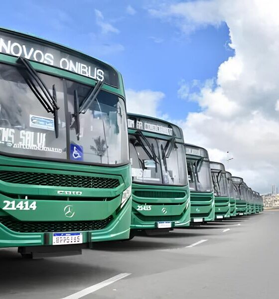 Salvador Ganha Três Novas Linhas de Ônibus: O Que Isso Significa Para Quem Vive, Trabalha e Se Diverte na Cidade do Carnaval? 2 Salvador Ganha Tr s Novas Linhas de nibus O Que Isso Significa Para Quem Vive Trabalha e Se Diverte na Cidade do Carnaval